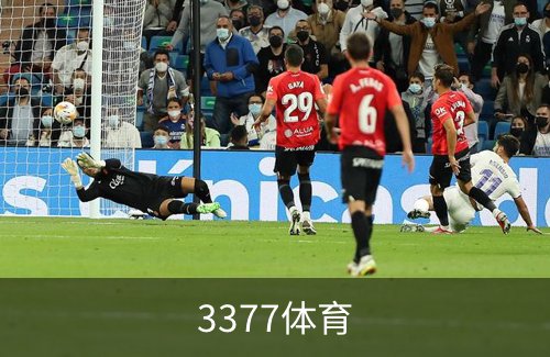 3377体育品牌故事